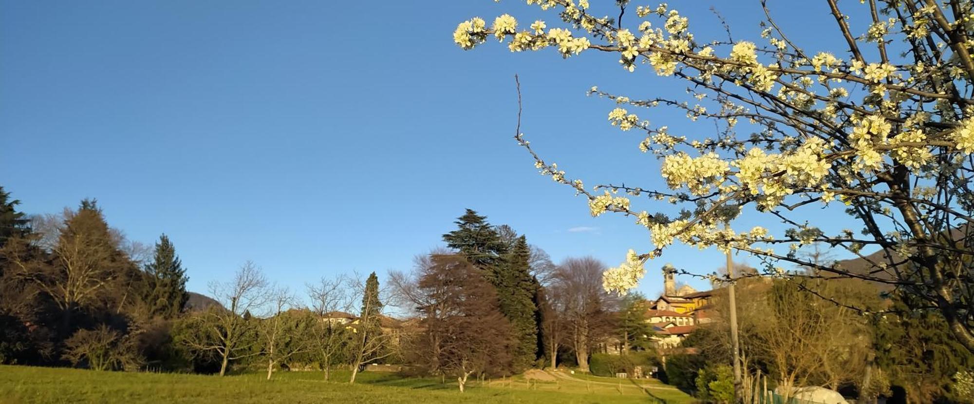 Casale Del Cantico Brenta Buitenkant foto