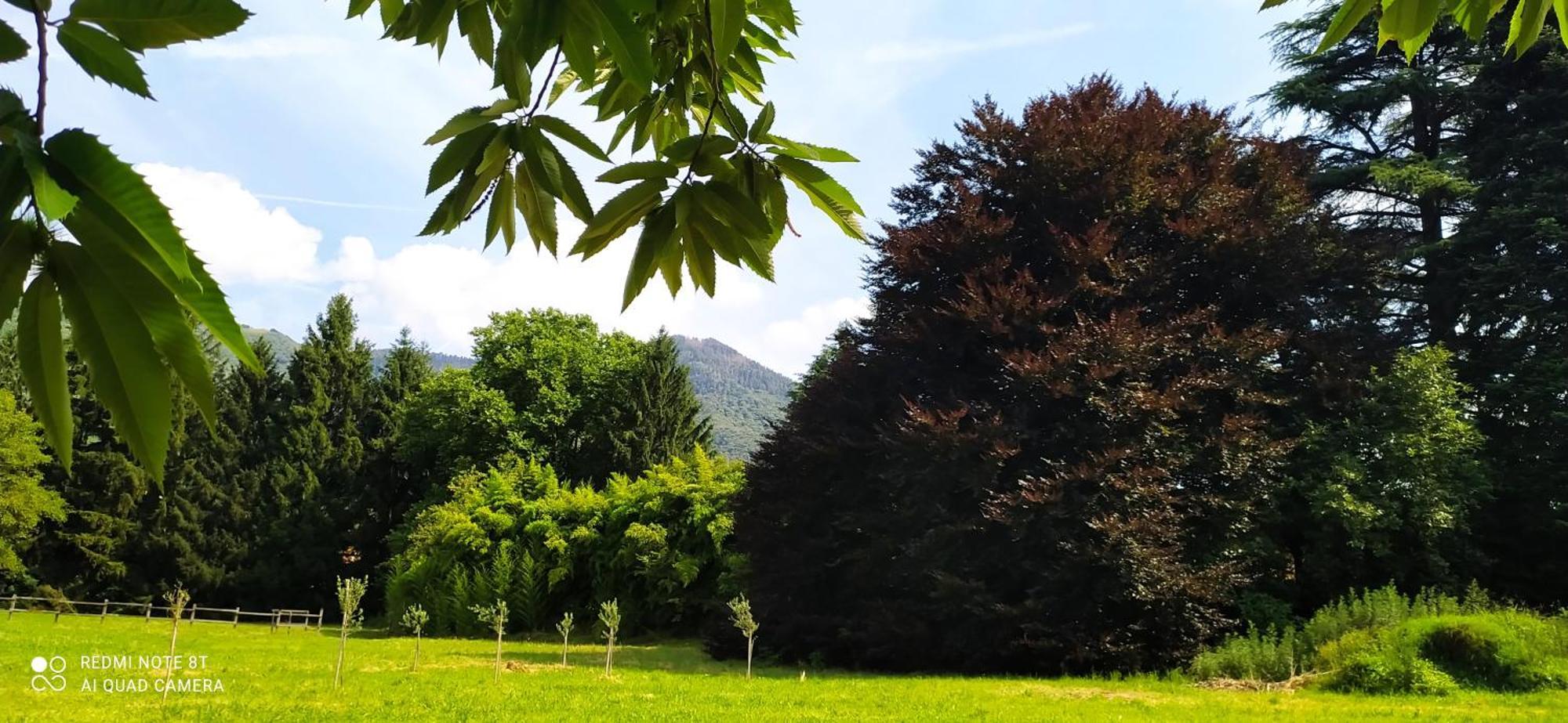 Casale Del Cantico Brenta Buitenkant foto