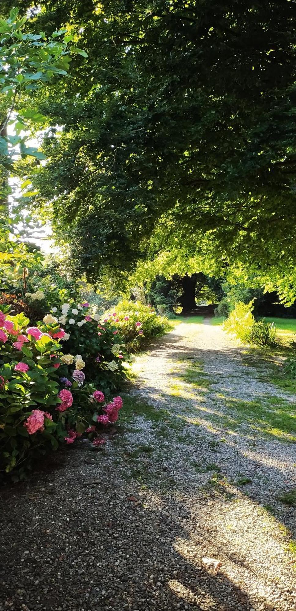 Casale Del Cantico Brenta Buitenkant foto